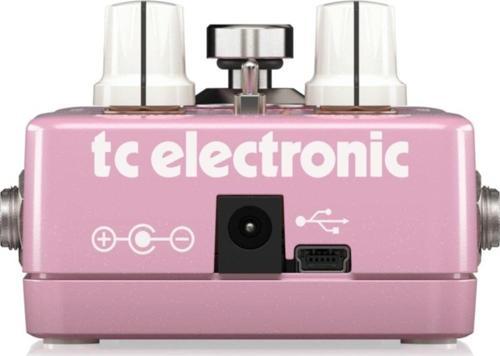 Braınwaves Pıtch Shıfter Pedal