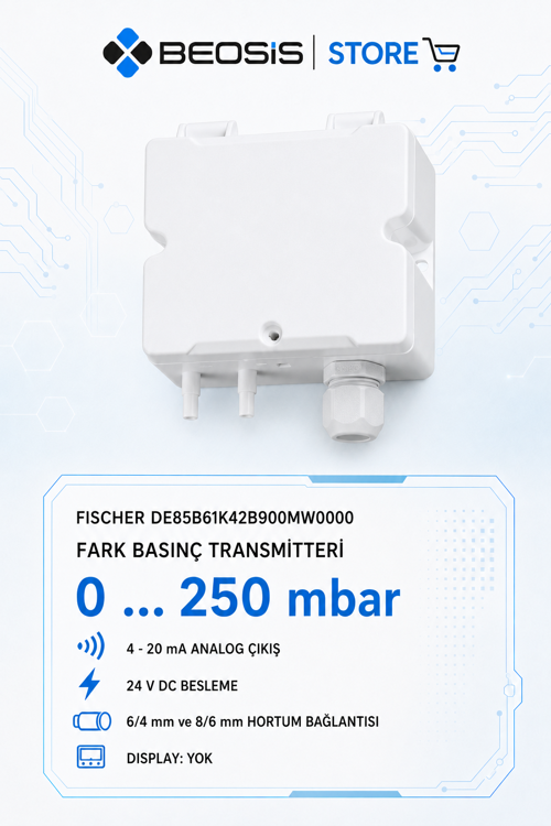 Fischer DE85 0-250 mbar Fark Basınç Transmitteri