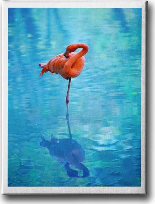 Flamingo Dekoratif Kanvas Duvar Tablosu
