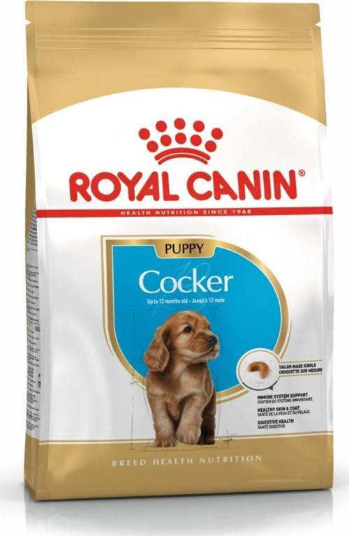 Cocker Puppy 3Kg