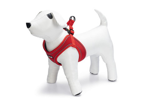 Köpek Göğüs Tasması, Neopren, Kırmızı, S, 38-44cm