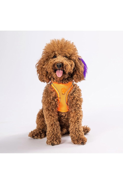 Neon Turuncu Air-mesh Göğüs Tasması Kedi Köpek Göğüs Tasması Neon Turuncu XL