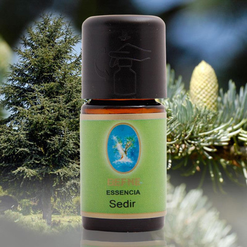 Nuka Sedir Yağı - 10 ml (Organik)