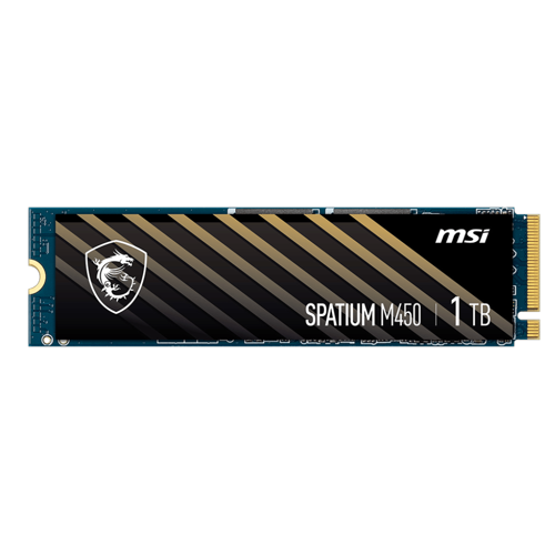 1TB SPATIUM M450 Gen4 NVME M.2 2280 SSD 3400MB Okuma / 2400MB Yazma