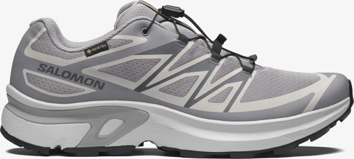 Xt-Evr Gore-Tex Erkek Sneaker Alloy L49143800