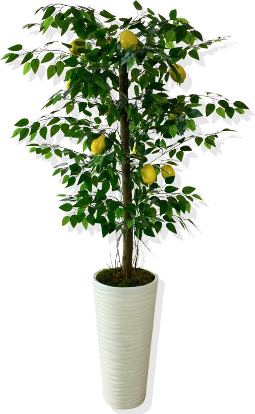 YAPAY AĞAÇ LİMON AĞACI 170 CM 56X30X20 BEYAZ KUMSAL SAKSI
