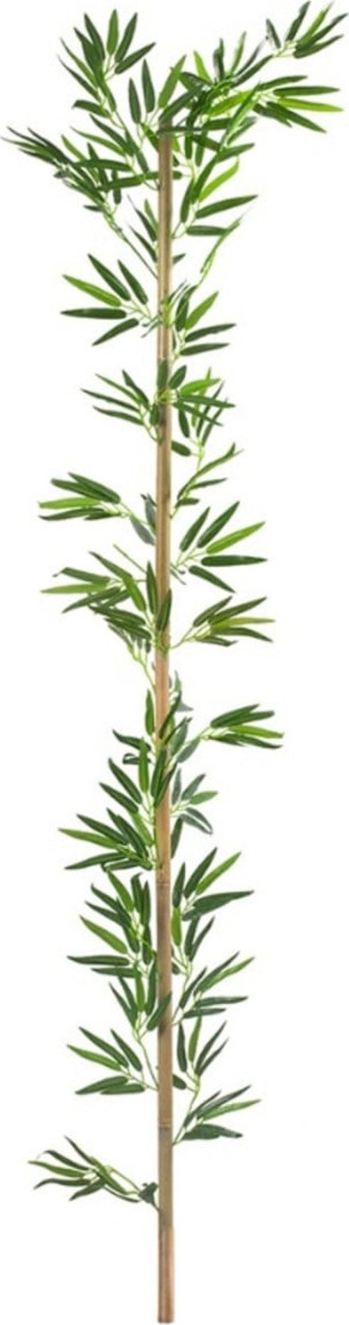 Bambu Çubuk 150 Cm