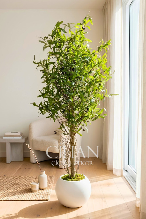 150 cm Lüks Yapay Zeytin Ağacı - 27x33 cm Plastik Küre Saksı