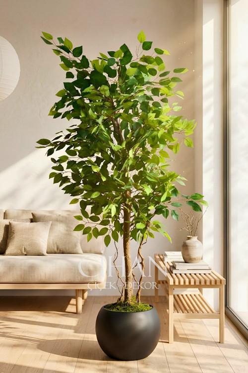 Yapay Yeşil Benjamin Ağacı 150 cm - Küre Saksılı