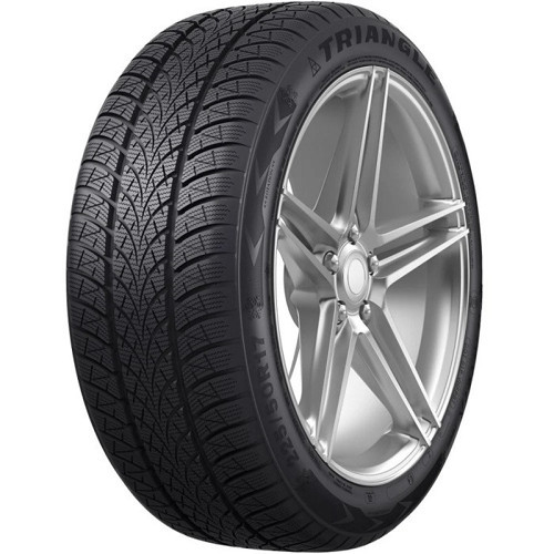 205/50R17 93V XL WinterX TW401 (Kış) (2024)