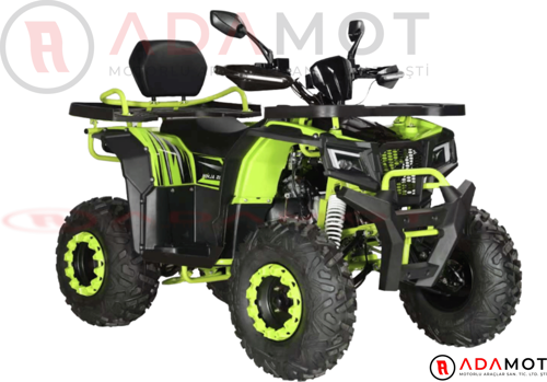 Ninja 200 Atv 180 cc Benzinli Otomatik Cvt Arazi Atv Disk Fren Geri Vites 10.2 Hp 4 Zamanlı