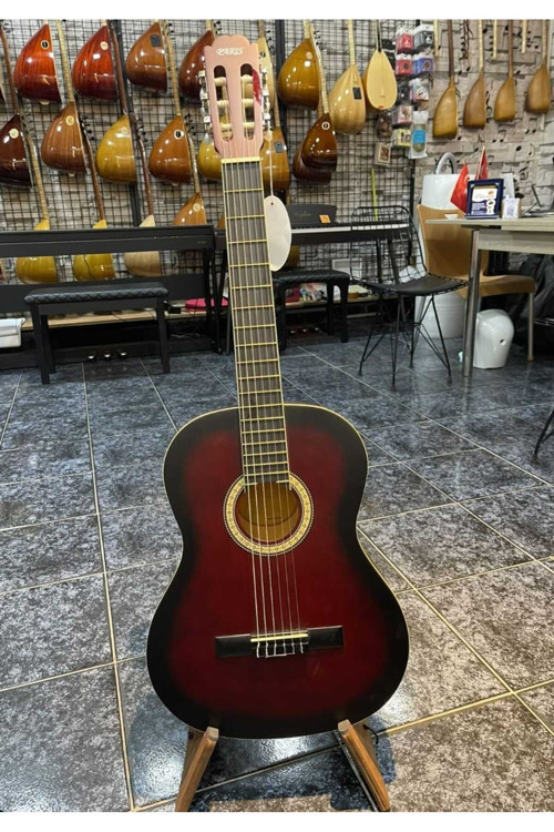 Klasik Gitar ( Kılıflı)