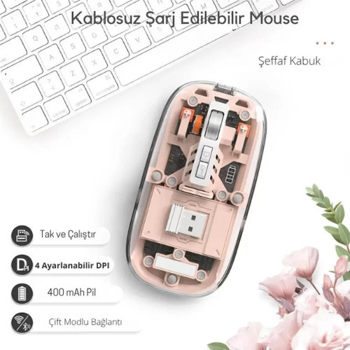 Pembe 501 Bt+ Wireless Mouse ZR1133