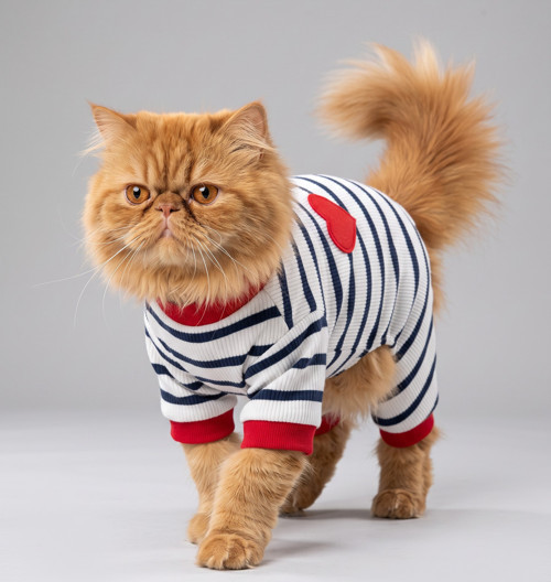 Mon Amour Çizgili Kedi Tulumu | Pamuklu Penye Kedi Kıyafeti | Küçük Irklar İçin | Tüy Dökülmesini Azaltır