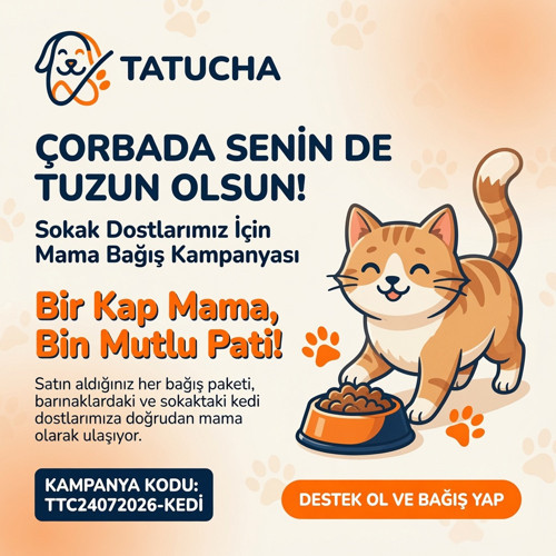 Evcil Hayvan Mama Bağış Destek Paketi - Sokak Canları İçin Besleme Desteği 500Tl Değerinde