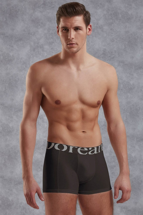 Erkek Büyük Beden Modal Torbalı Rahat Paçalı Boxer 1777P - Gri