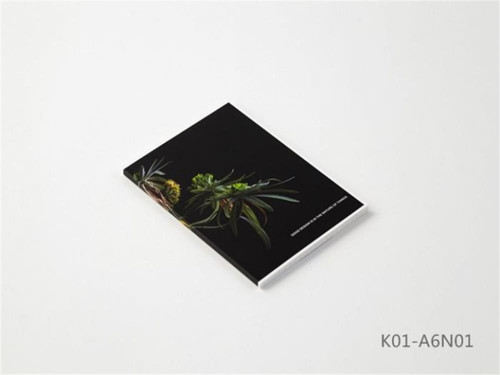 Koncreat A6 Kareli Tamotsu Yagi Defter No:04