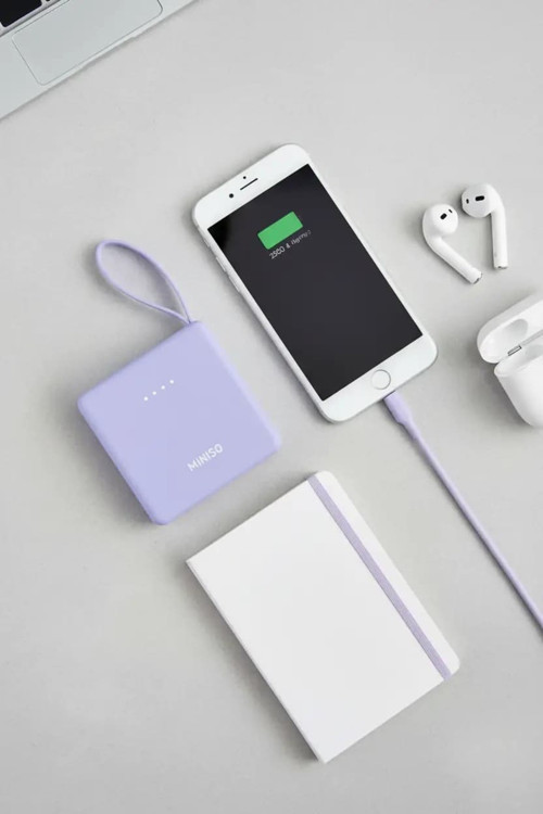 Lisanslı Dahili Kablolu 2500mAh Taşınabilir Powerbank X-25DX – Pratik Şarj Desteği