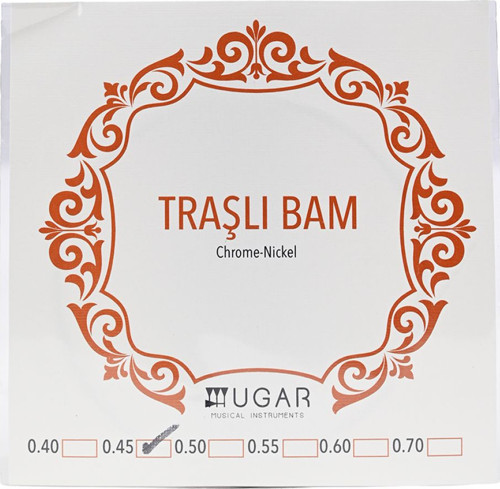 0.45 Krom-Nikel Traşlı Bağlama Bam Teli