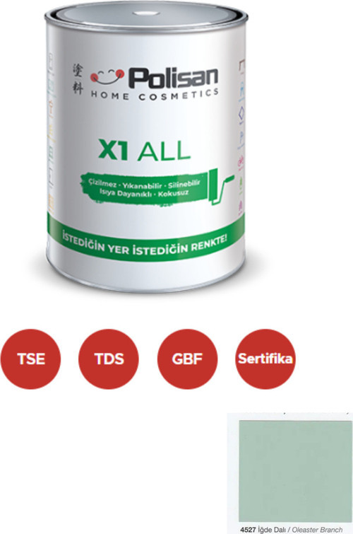 X1 All Dönüşüm Boyası 0,75 Lt İğde Nalı / 4527