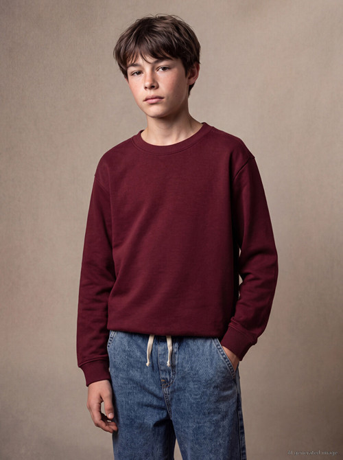 LCW Kids Bordo Erkek Çocuk Kalın Sweatshirt