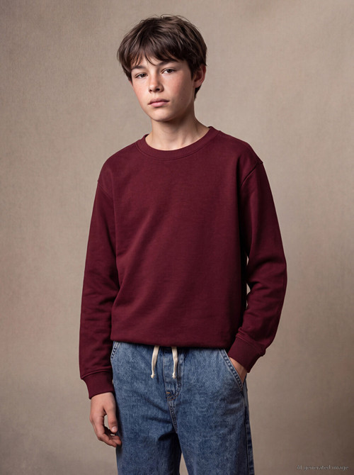 LCW Kids Bordo Erkek Çocuk Kalın Sweatshirt