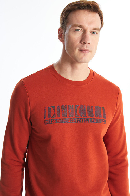 LCWAIKIKI Classic Turuncu Bisiklet Yaka Baskılı Erkek Kalın Sweatshirt