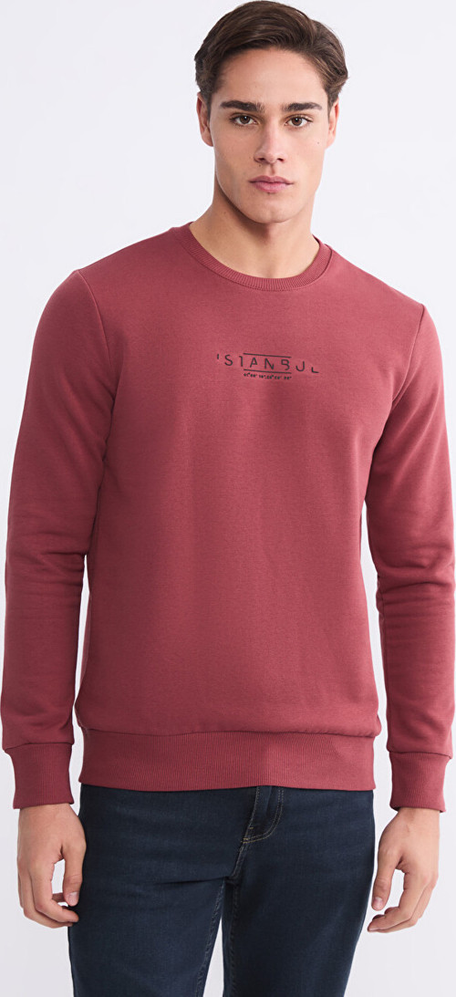 LCWAIKIKI Classic Kırmızı Bisiklet Yaka Baskılı Erkek Sweatshirt