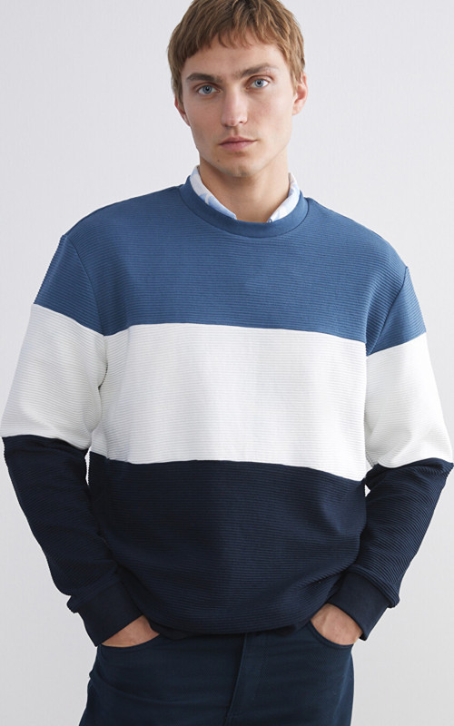 LCW Vision Mavi Bisiklet Yaka Renk Bloklu Erkek Sweatshirt