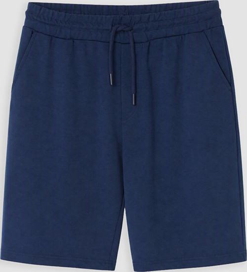LC WAIKIKI İndigo Regular Fit Erkek Şort