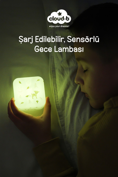 Forest Şarj Edilebilir Sensörlü Gece Lambası 7x7cm