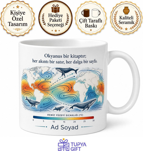 Okyanus Bilimcisine Hediye Deniz Sıcaklığı Akıntı Yönü Balina Göçü Okyanus Akıntısı Kupa Bardak