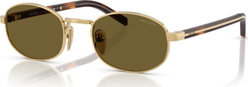 0PR B53S 5AK09Z 49 Unisex Güneş Gözlüğü