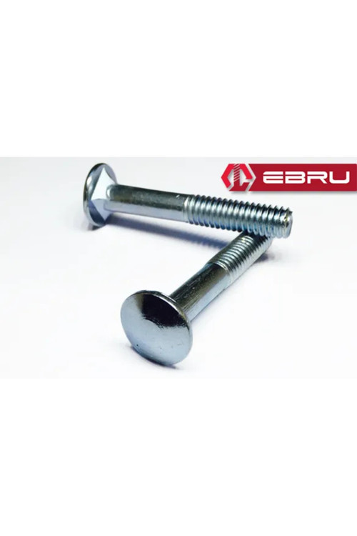 Ebru Kasa Civata 1/4x35 - 20 Adet