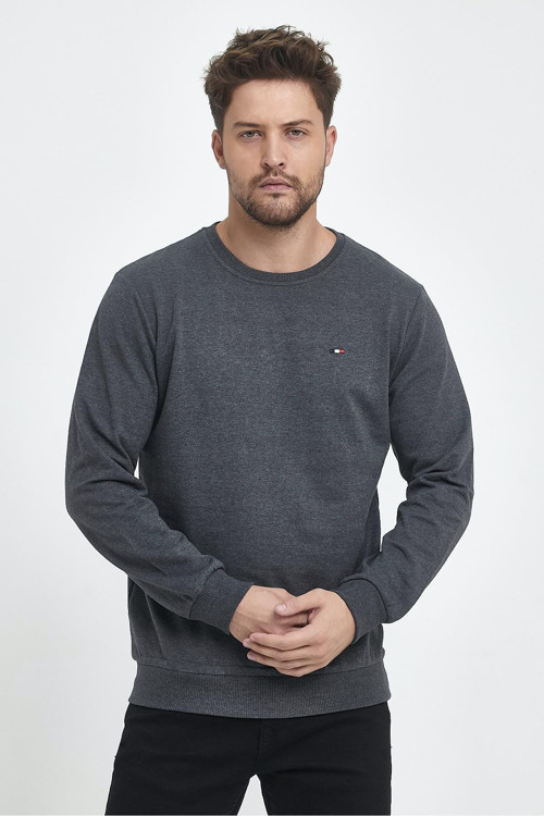 Erkek Antrasit Bisiklet Yaka Nakış Detaylı Regular Fit Sweatshirt