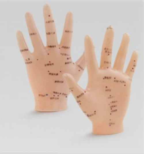 El Maketi Akupunktur Noktaları 835