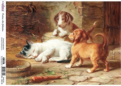 Dostlar Koleksiyonu Dk09 - Kedi Ve Köpekler Pirinç Dekopaj 30*42 Cm