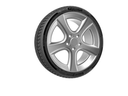 RoadFun Winter 205/55 R16 91H Kış Lastiği - 2026