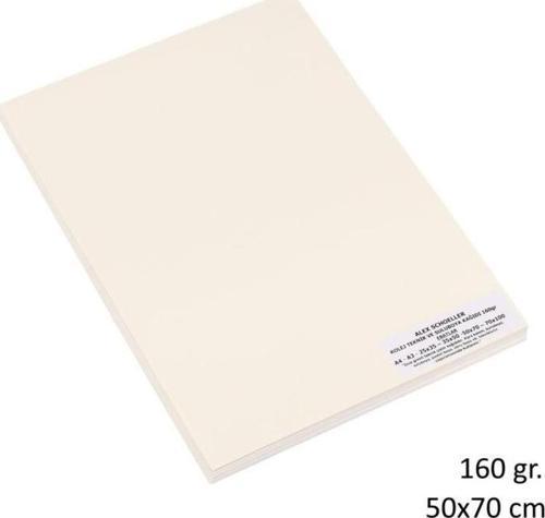 College Teknik Çizim Kağıdı 160 gr. 35x50 cm. 100'lü Paket