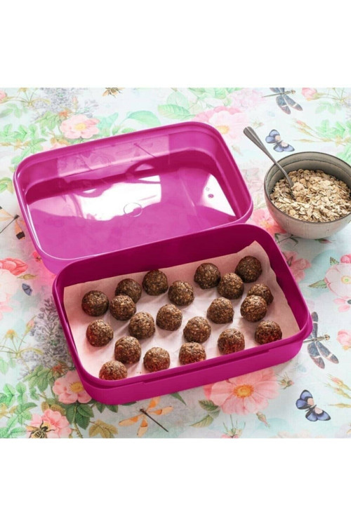 F20 Saklama Kutusu Tupperware Kurabiye Kutusu