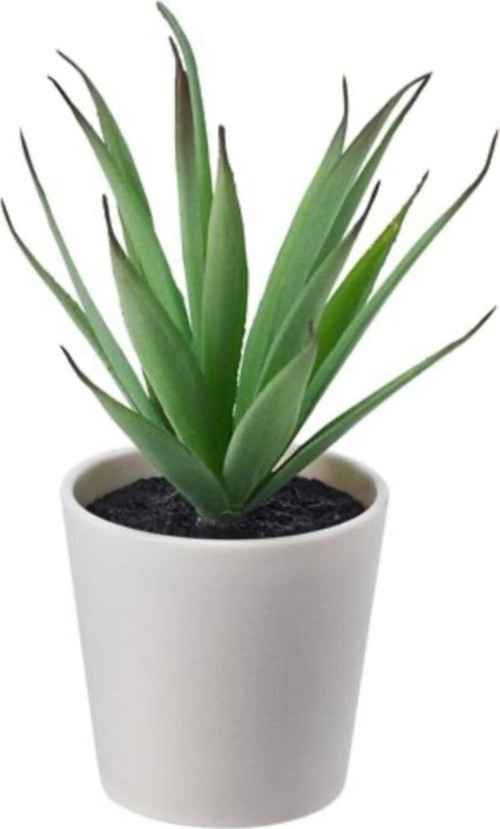 Saksılı Yapay Bitki, Yeşil, 6 Cm, Kaktüs