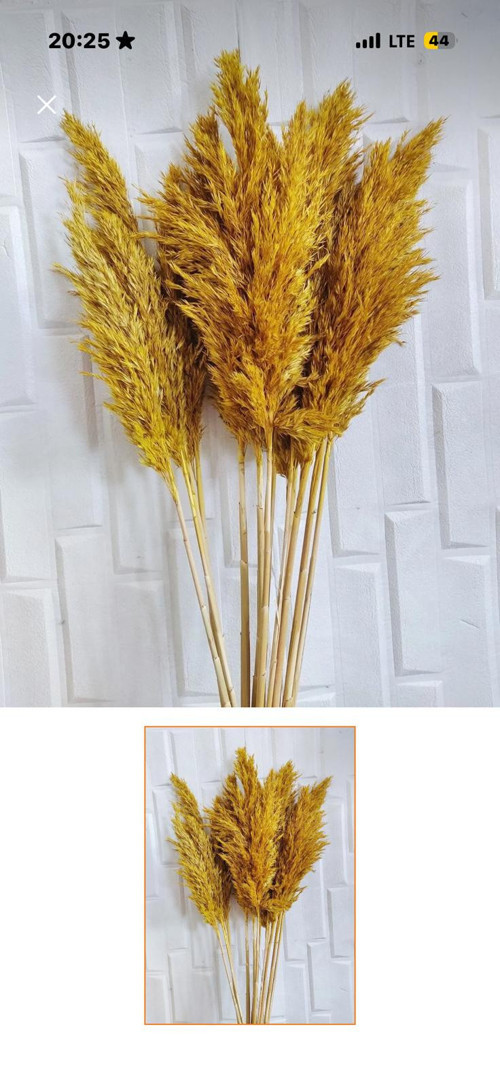 Açık Sarı Pampas Otu Dekoratif Kurutulmuş Çiçek