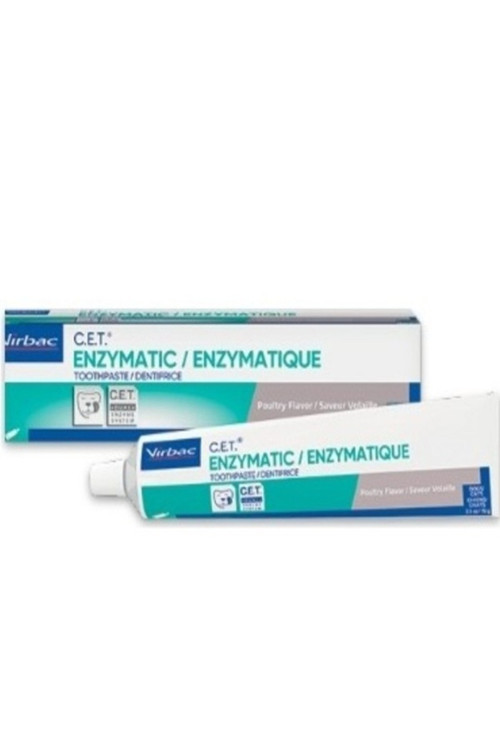 Enzymatıc diş macunu