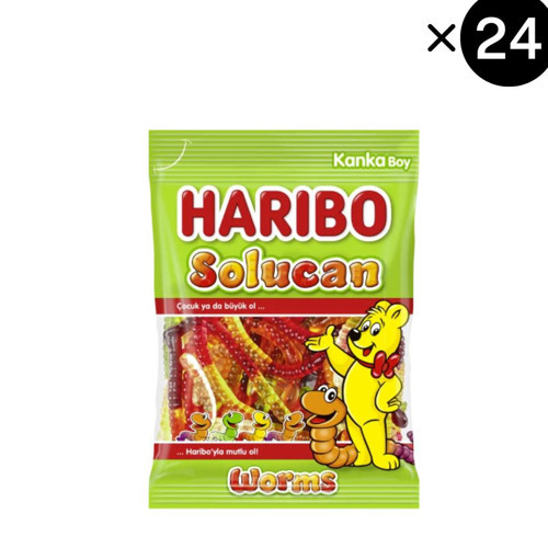 Solucan 80gr x24