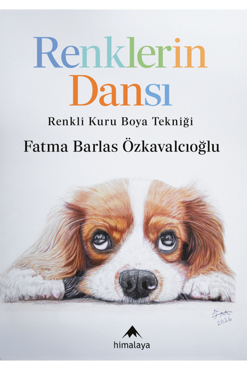 Renklerin Dansı