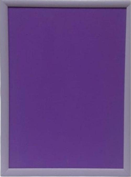 Renkli Eva Pano 50x70 cm Mor