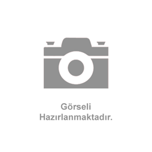 DKR ALİNA TEKLİ ASKI PVD GOLD