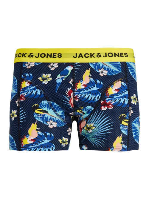 & Jones Erkek Boxer Flower Bird Trunks Ln