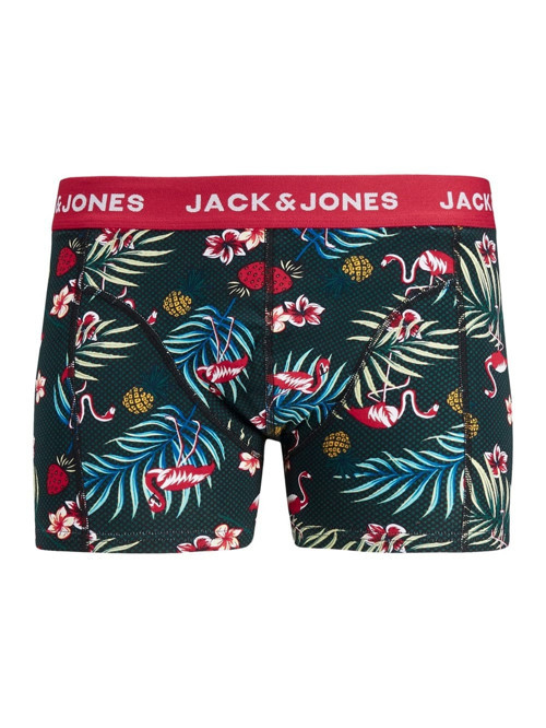 & Jones Erkek Boxer Flower Bird Trunks Ln
