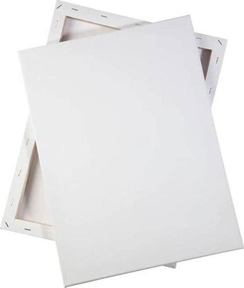 Pin Arkadan Zımbalı Tuval 50x60 cm